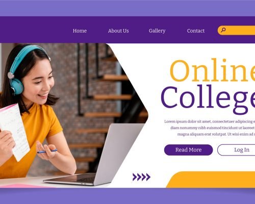 College Website